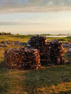oplus_1049632