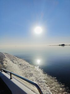 oplus_1049632