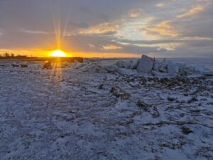 IMG_20210307_175043