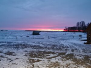 IMG_20211229_082824